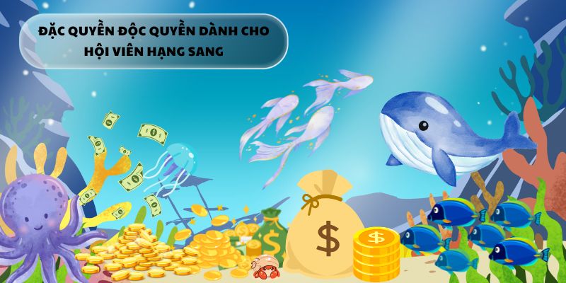 Xu vàng, vật phẩm hiếm và hỗ trợ riêng – Đặc quyền chỉ dành cho VIP.